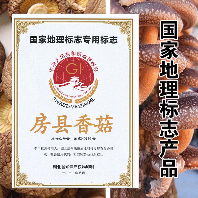 香菇 - 图片 5