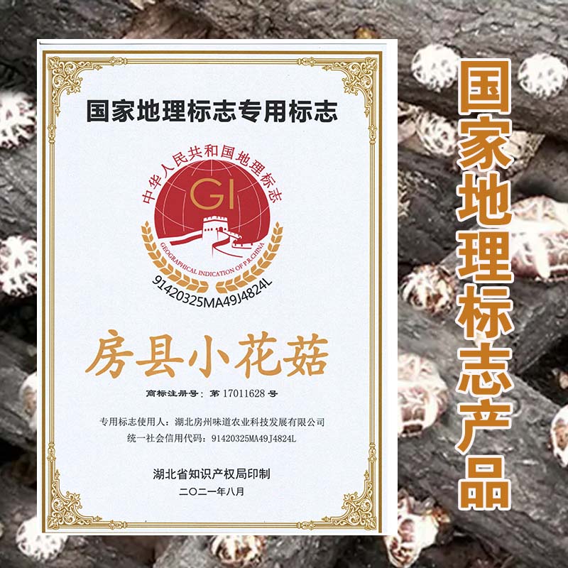 小花菇 - 图片 4