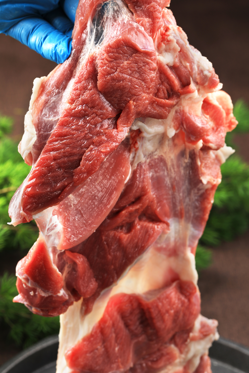 纯肉组合 - 图片 2